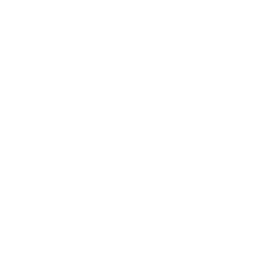 Dataking Consulting logo